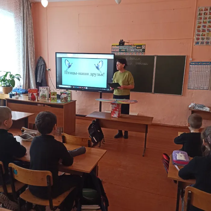 «Птицы – наши друзья»