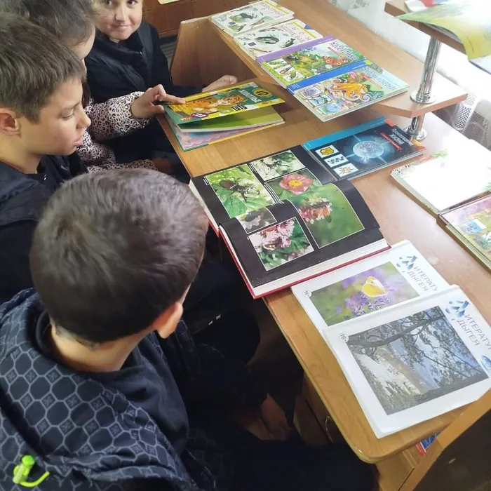 «В мире дикой природы»