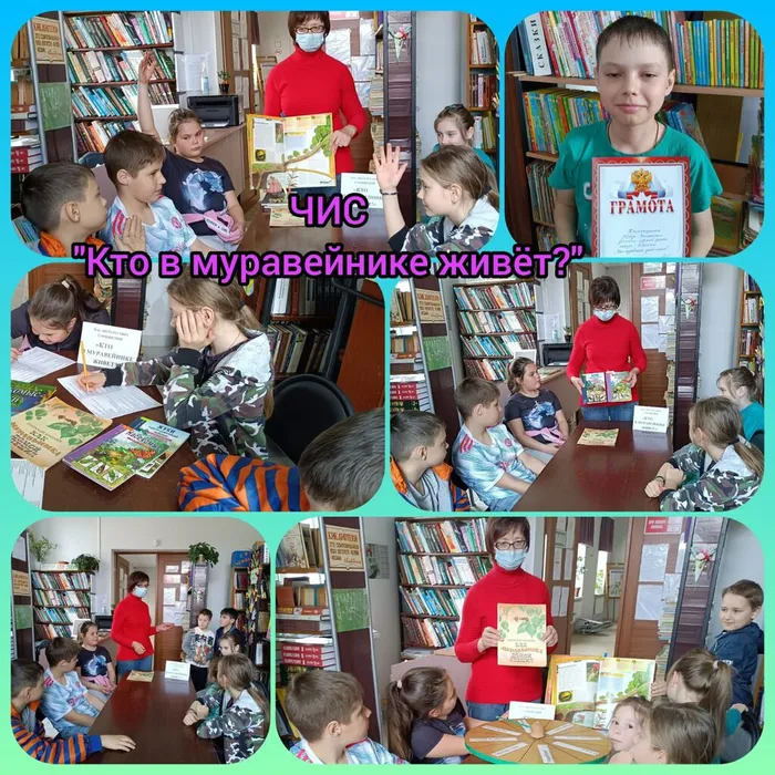 «Кто в муравейнике живёт?»