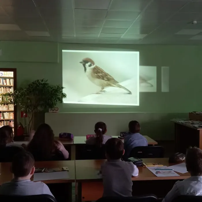 «Помощь зимующим птицам»
