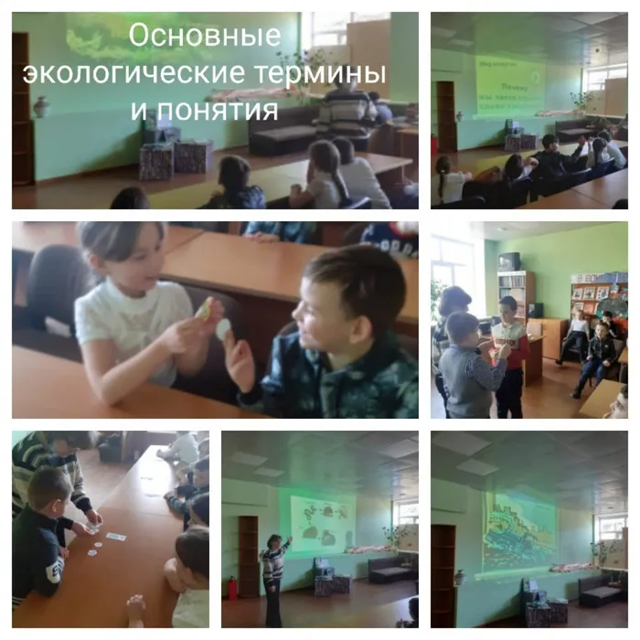 «Основные экологические термины и понятия»