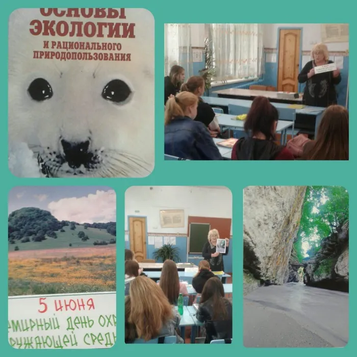 «Экологический марафон»